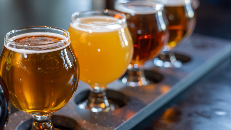 A flight of beer in Belgian tasting glasses