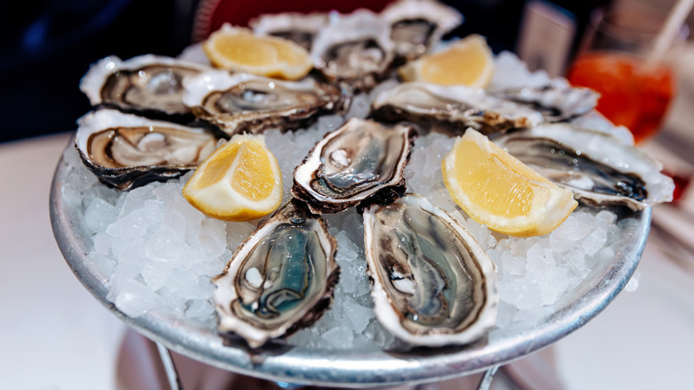 Oysters on the half shell