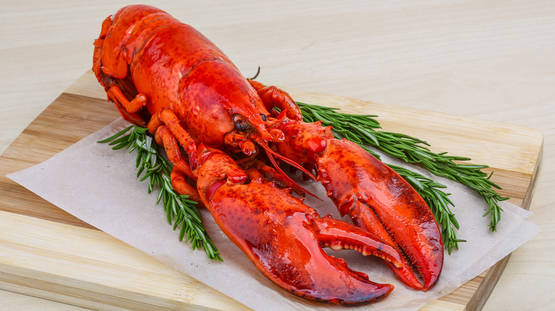 A beautiful boiled red whole lobster garnished with rosemary