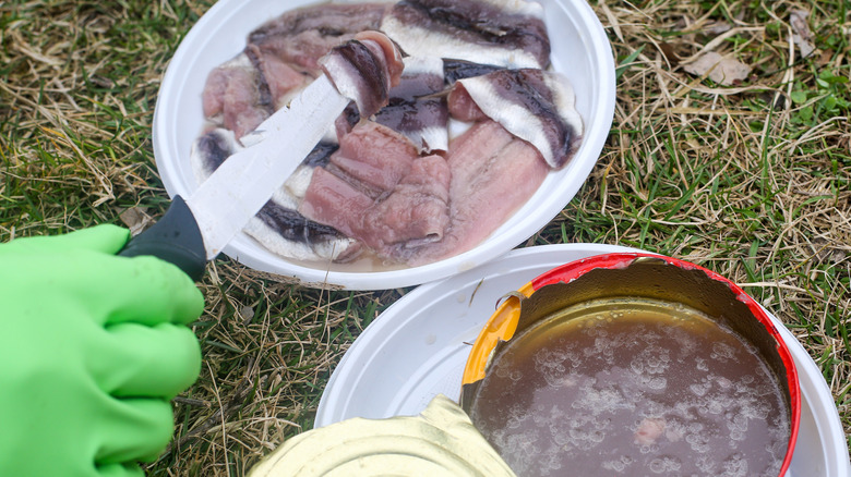 Gloved hand with knife handling fermented canned fish filets next to open can