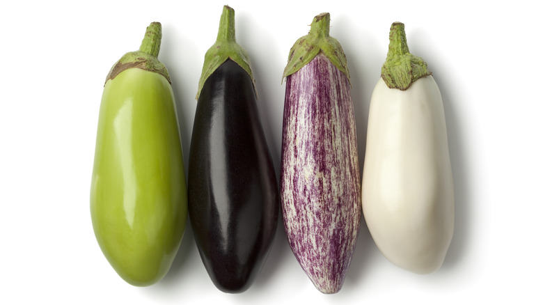 four varieties of eggplant lined up next to each other against a white background