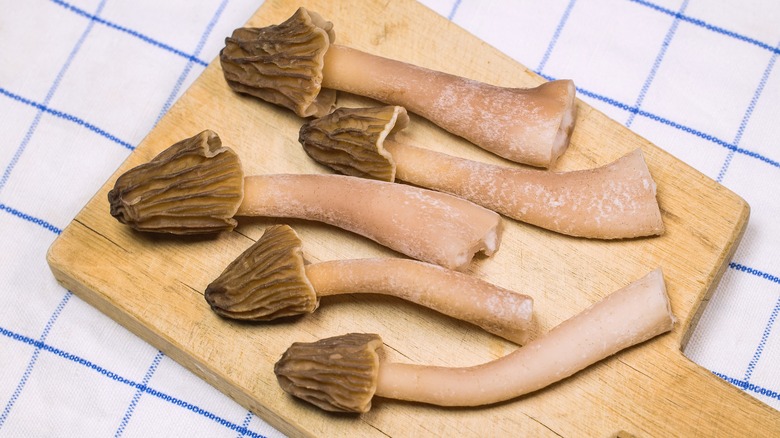 clean morel mushrooms on a wooden board