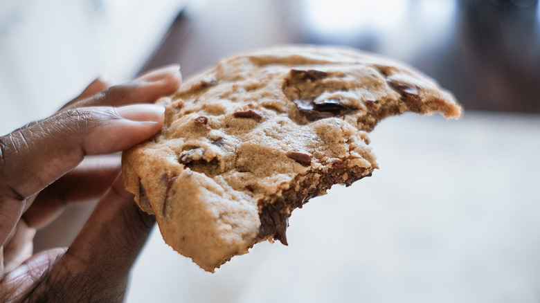 A person holding a big chocolate chip cookie