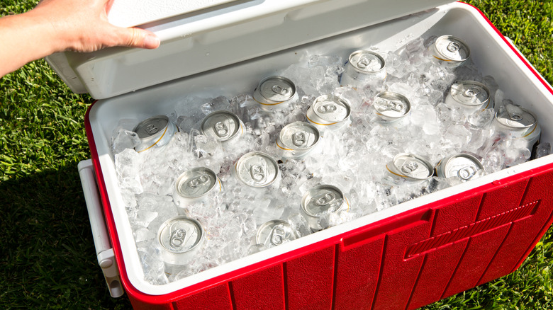 cans in red cooler