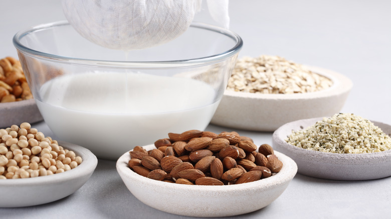 process of making plant-based dairy alternative, using option variety of almonds, hemp seeds, and oats