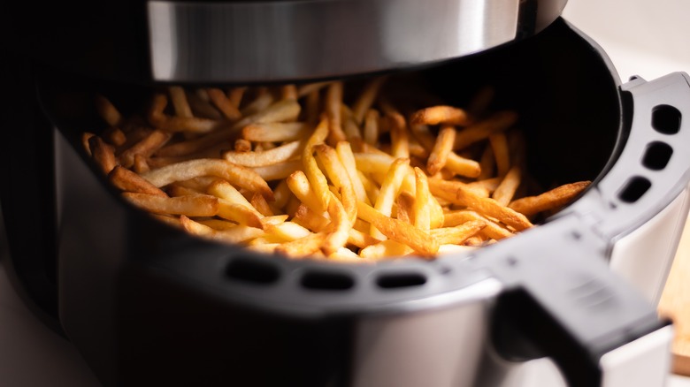 fries in air fryer