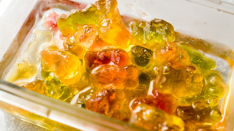 Gummy bears soaking in a clear spirit