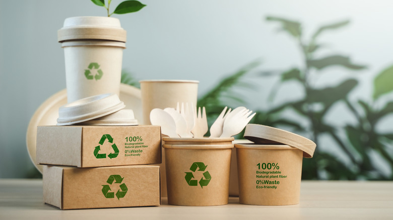 A number of biodegradable containers placed on a table.