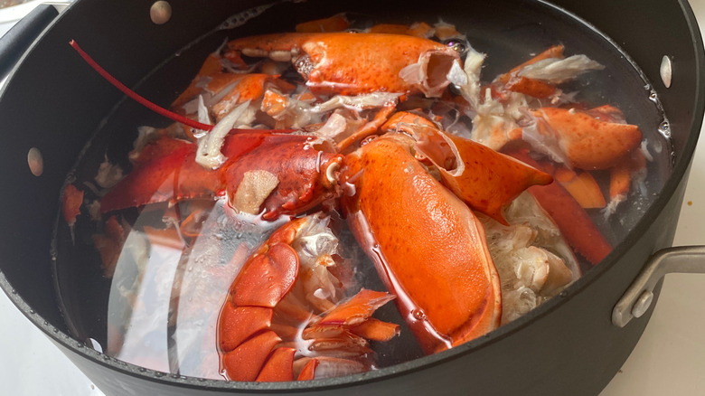 lobster shells in stock pot