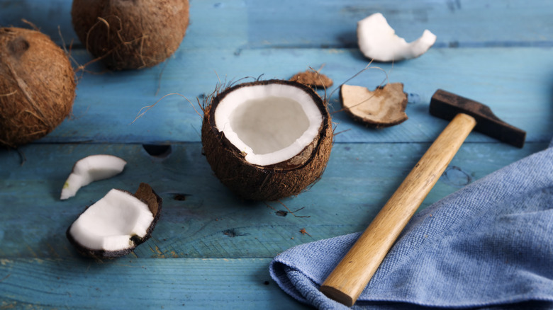 Fresh coconut with hammer