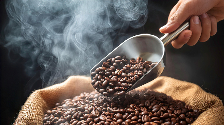 A person scooping coffee beans from a steaming sack.