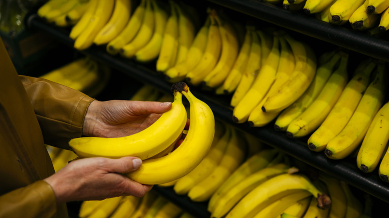 Hands holding 2 bananas