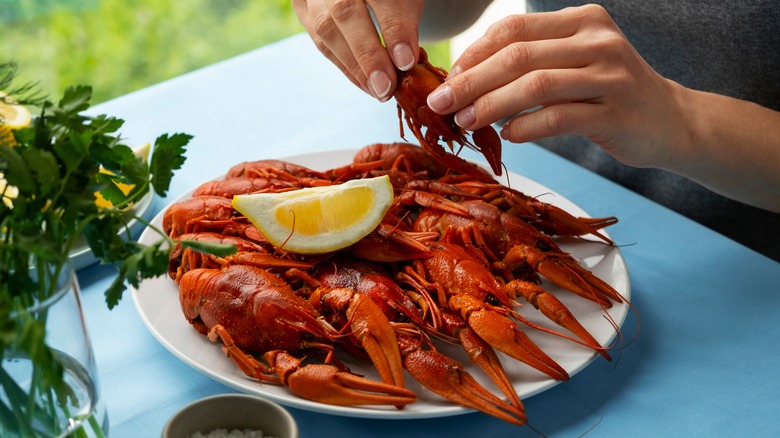 Person cracking a crawfish