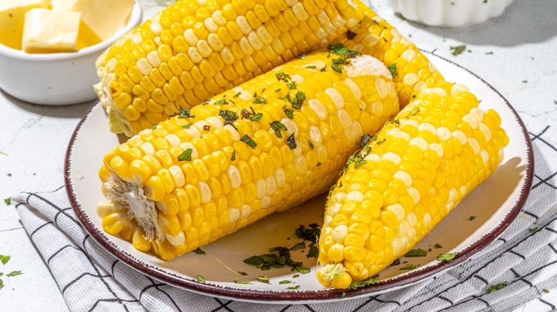 corn on the cob on plate