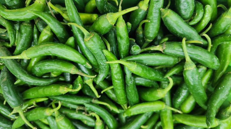 close up of long and narrow New Mexico green chiles