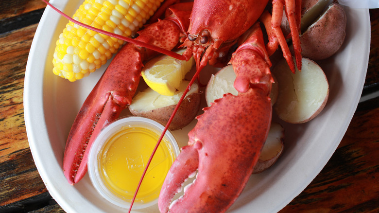 Plate of steamed lobster, corn, potatoes with clarified butter