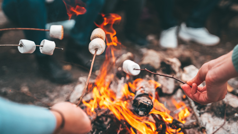 People roasting marshmallows on a camp fire