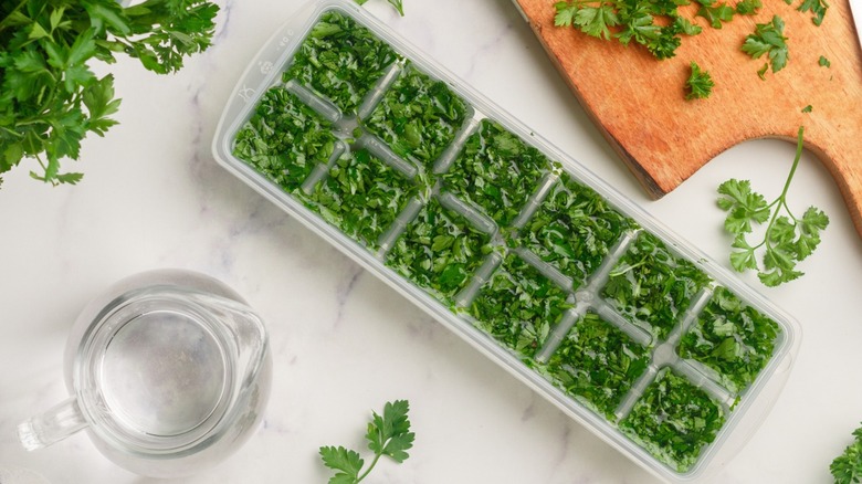 Chopped herbs packed inside an ice cube tray, with a small jug of water.