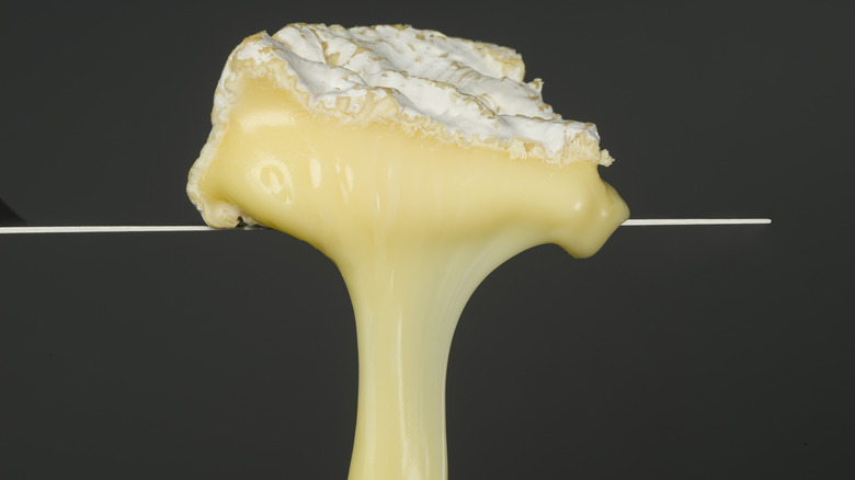 Melted piece of Camembert or Brie cheese on a black background