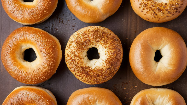 nine fresh bagels lined up on a dark background