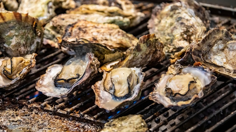 Oysters on a grill