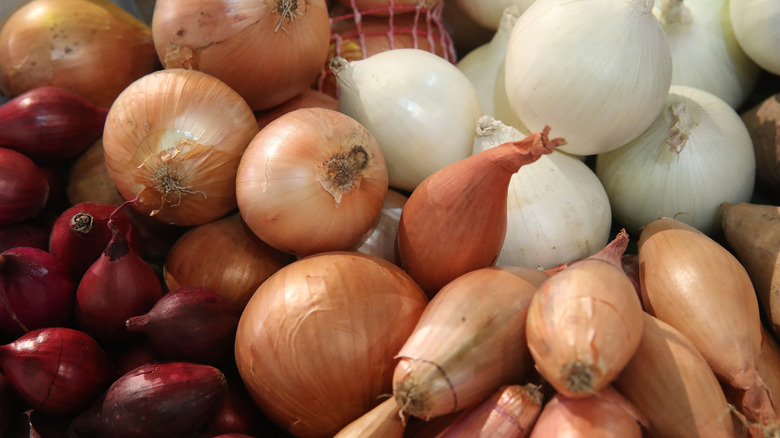 Onions and shallots