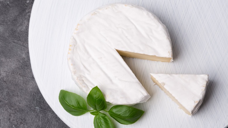 A Brie on a white plate with a sprig of basil