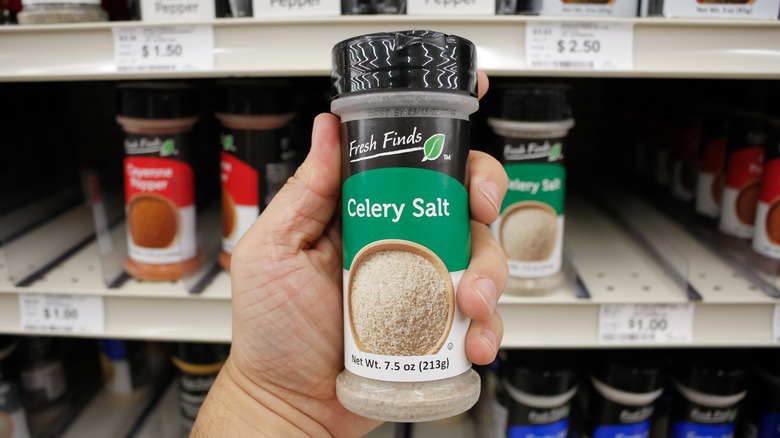 A hand holds a container of Fresh Finds Celery Salt, on display at a local Big Lots.