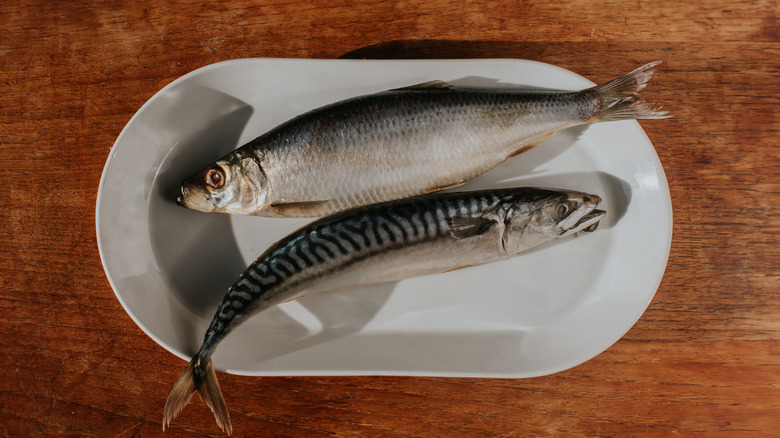 Two whole uncooked fish on a plate