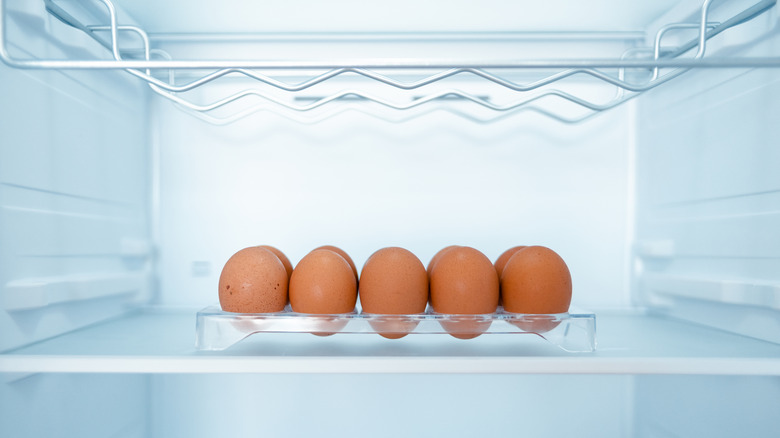 A container of eggs inside an empty fridge