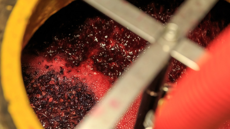 Crushed red grapes fermenting in a wine barrel