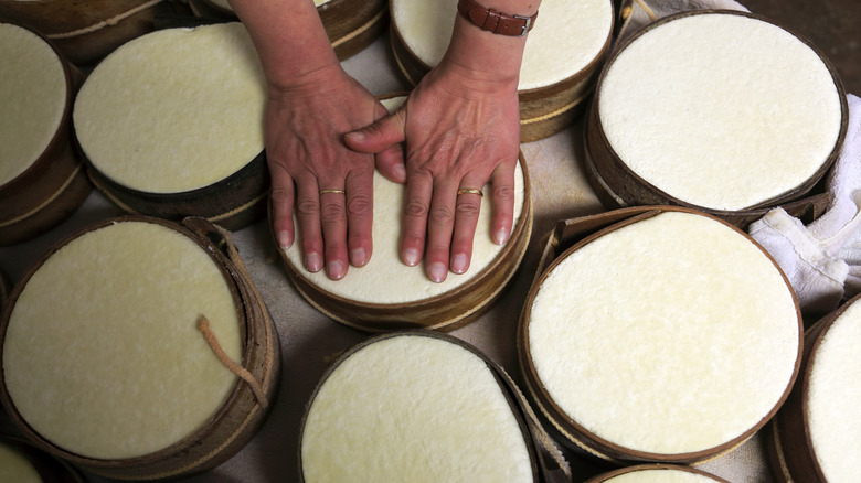 Hands touching fresh cheese