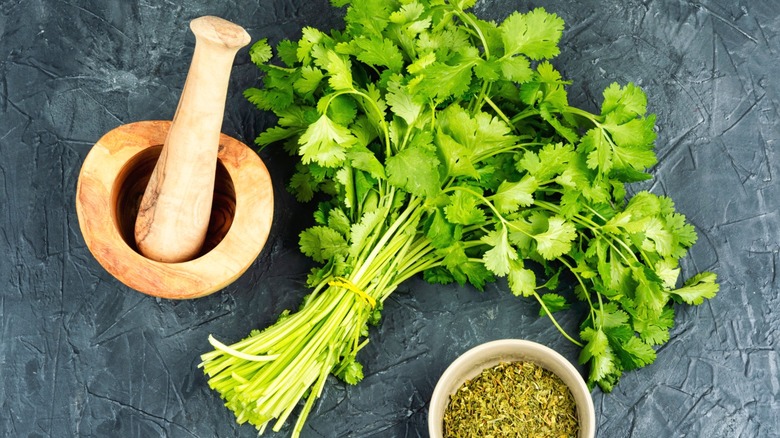 A bunch of cilantro resting on a countertop next to a grinder.