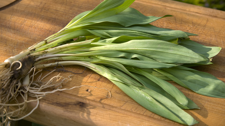 ramps on a wooden board