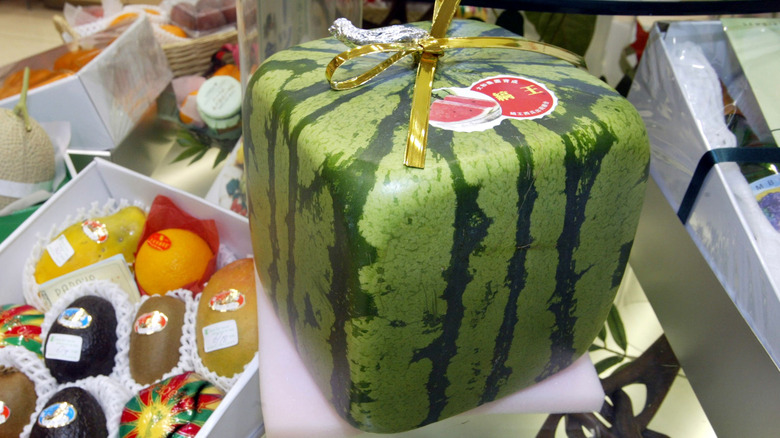 square watermelon with other fruit