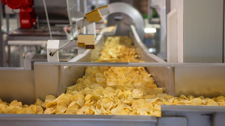 A convayer belt in a potato chip factory.