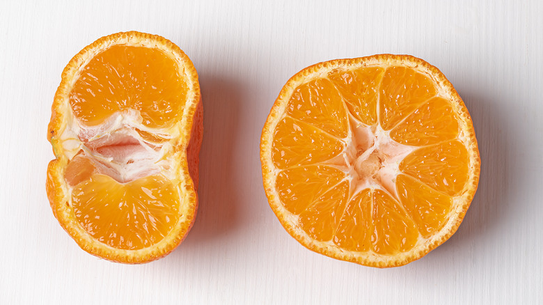 Two halves of a tangerine, the one on the left cut lengthwise, and the one on the right cut crosswise.