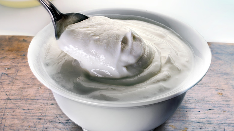 a bowl of yogurt getting scooped up by a spoon