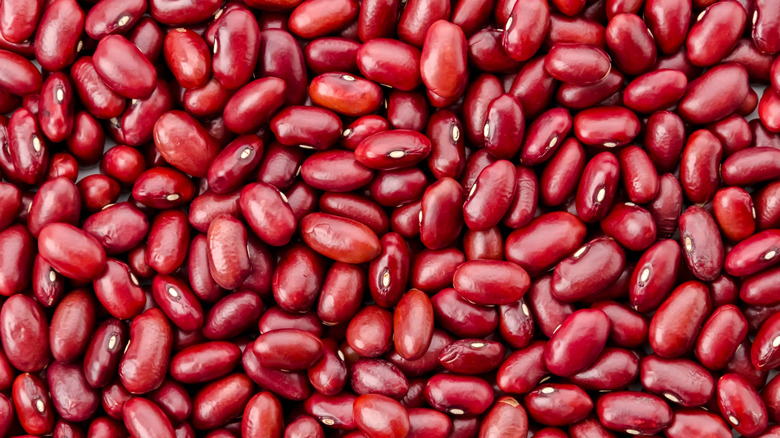 A seemingly endless pile of Red kidney Beans