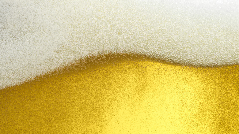 Close-up of beer foam