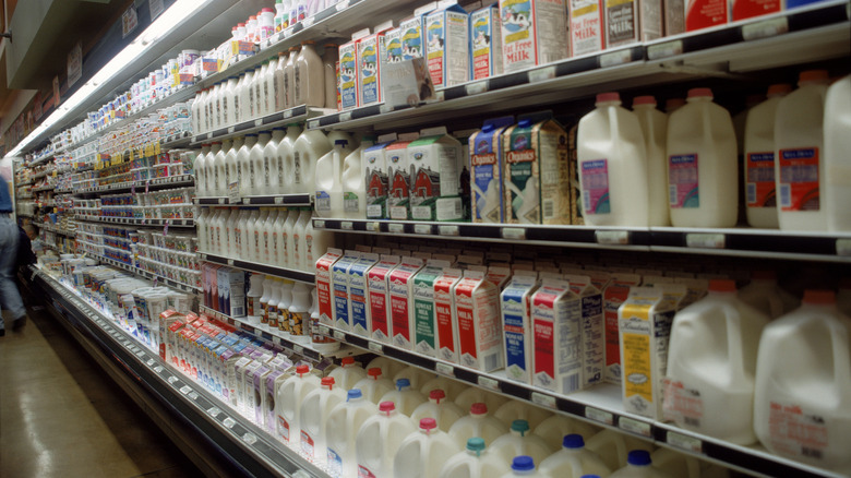 Milk section in a grocery store