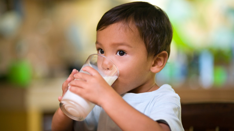 Small child sitting at the table drinking milk