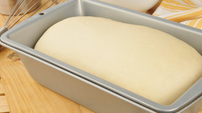 dough rising in loaf pan