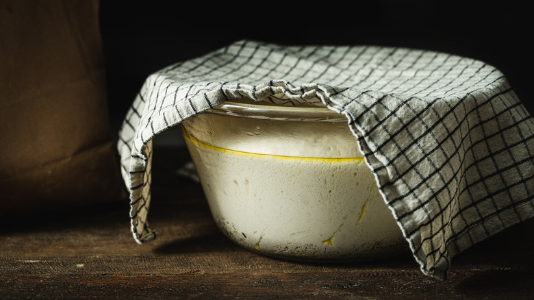 covered dough in glass bowl