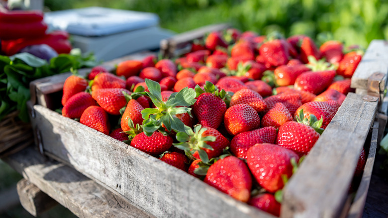 fresh strawberries in crate