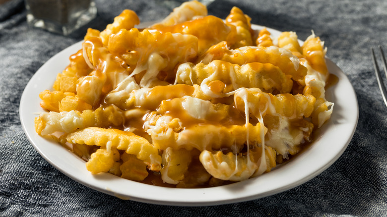 disco fries on a white plate