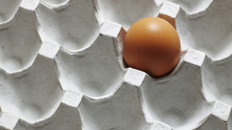 one egg in an otherwise empty egg carton