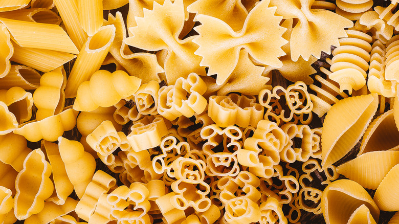 Different types of pasta