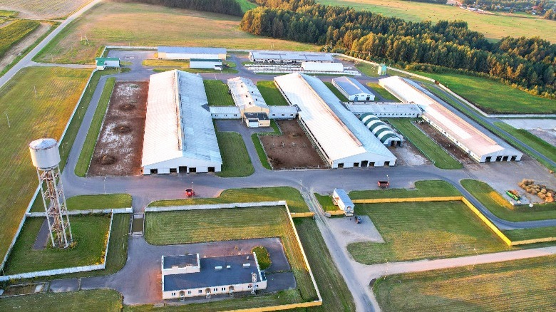 overhead view of livestock barns