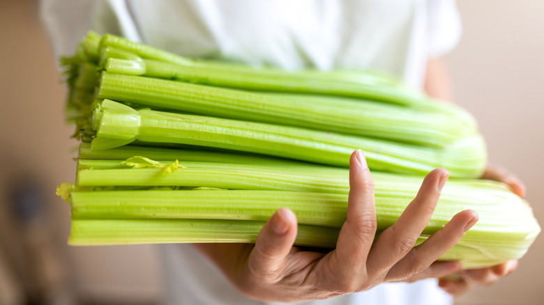 woman holding celery stalks